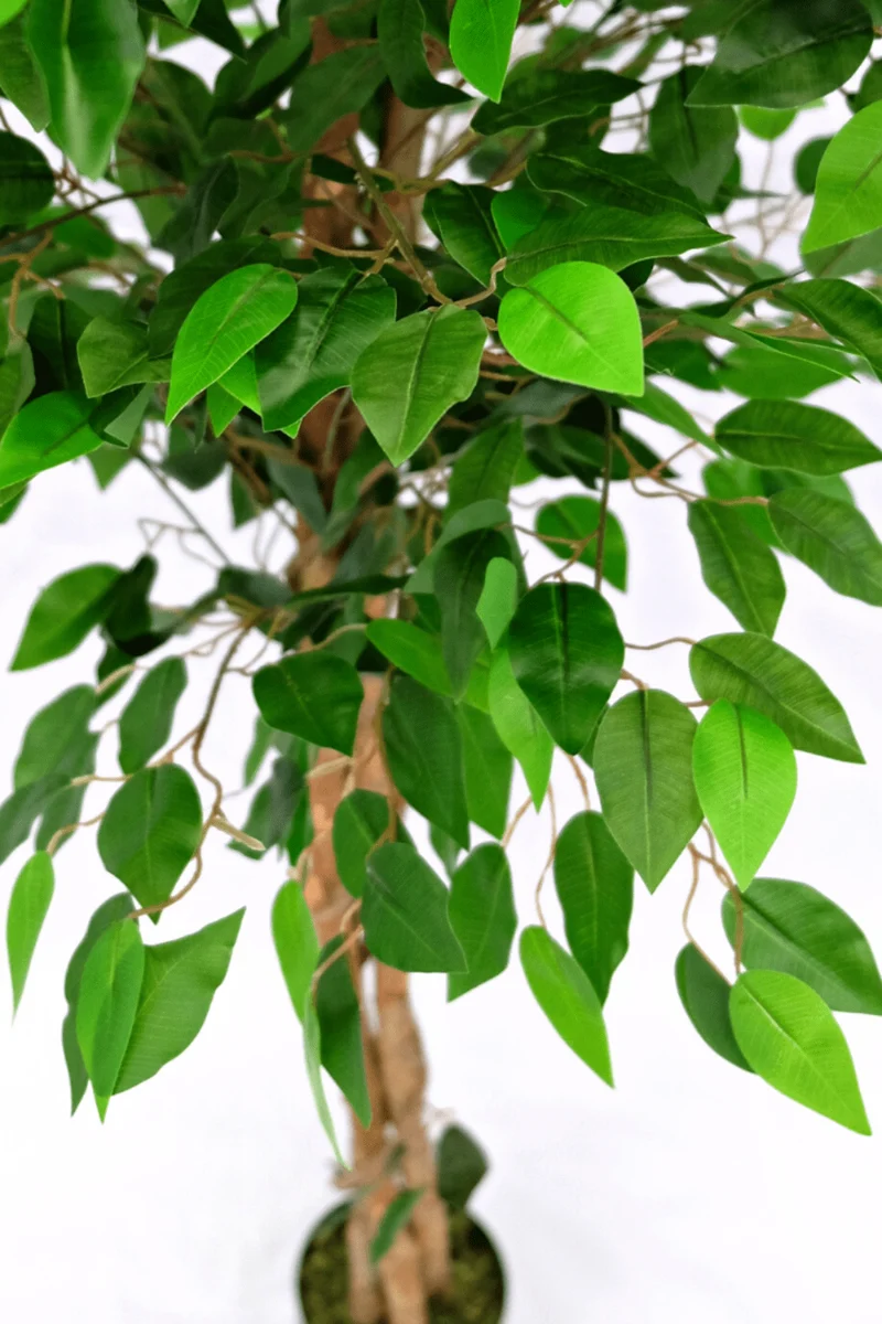 Ficus Kunstpflanze 150cm