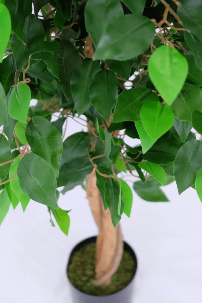 Ficus Kunstpflanze 130cm