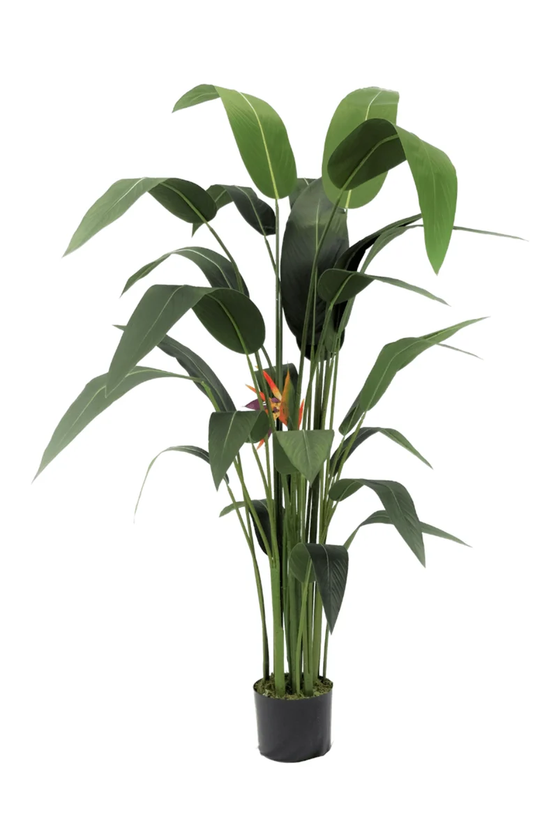 Strelitzie Kunstpflanze mit Blume 160cm
