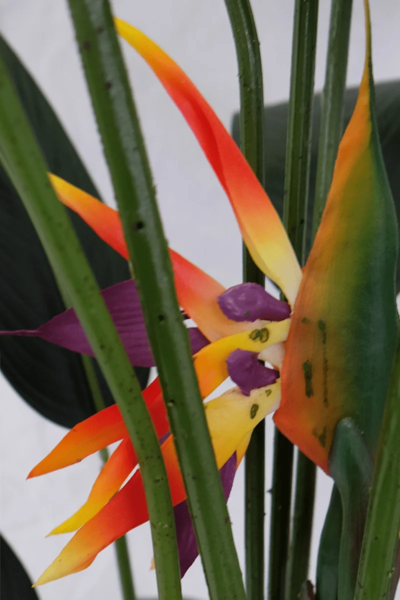 Strelitzie Kunstpflanze mit Blume 160cm
