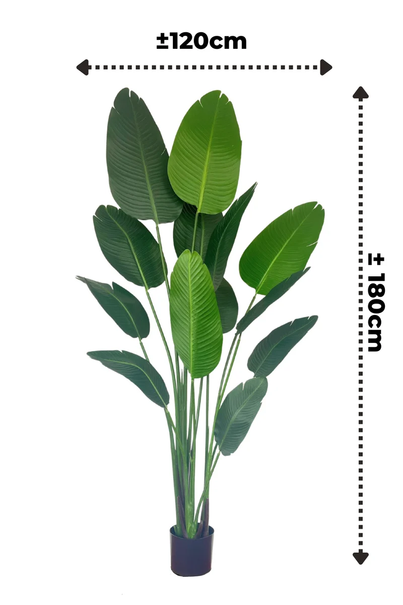 Strelitzie Kunstpflanze 180cm