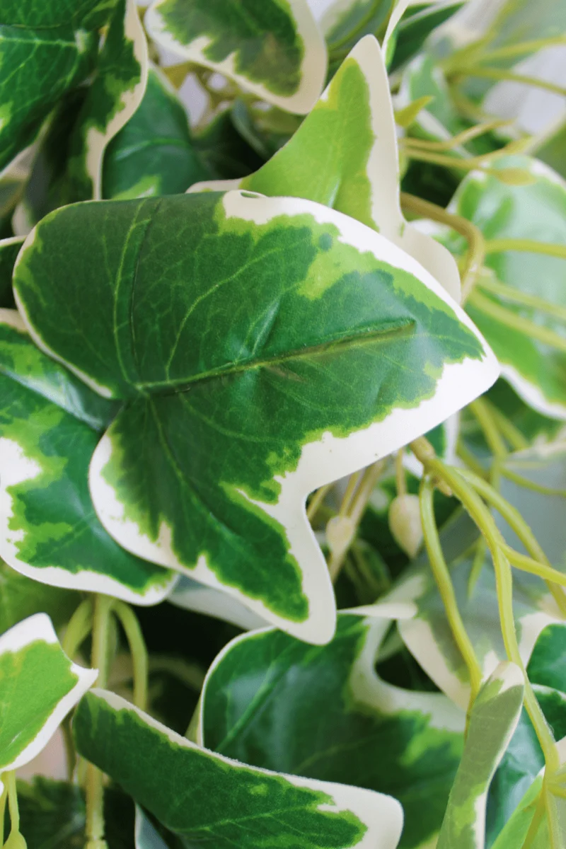 Hedera Star künstliche Hängepflanze 110cm