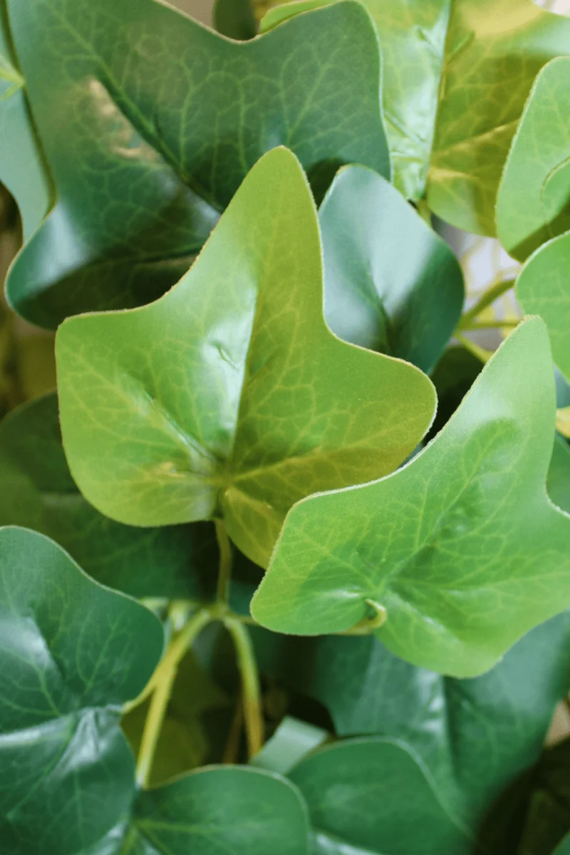 Hedera künstliche Hängepflanze 110cm