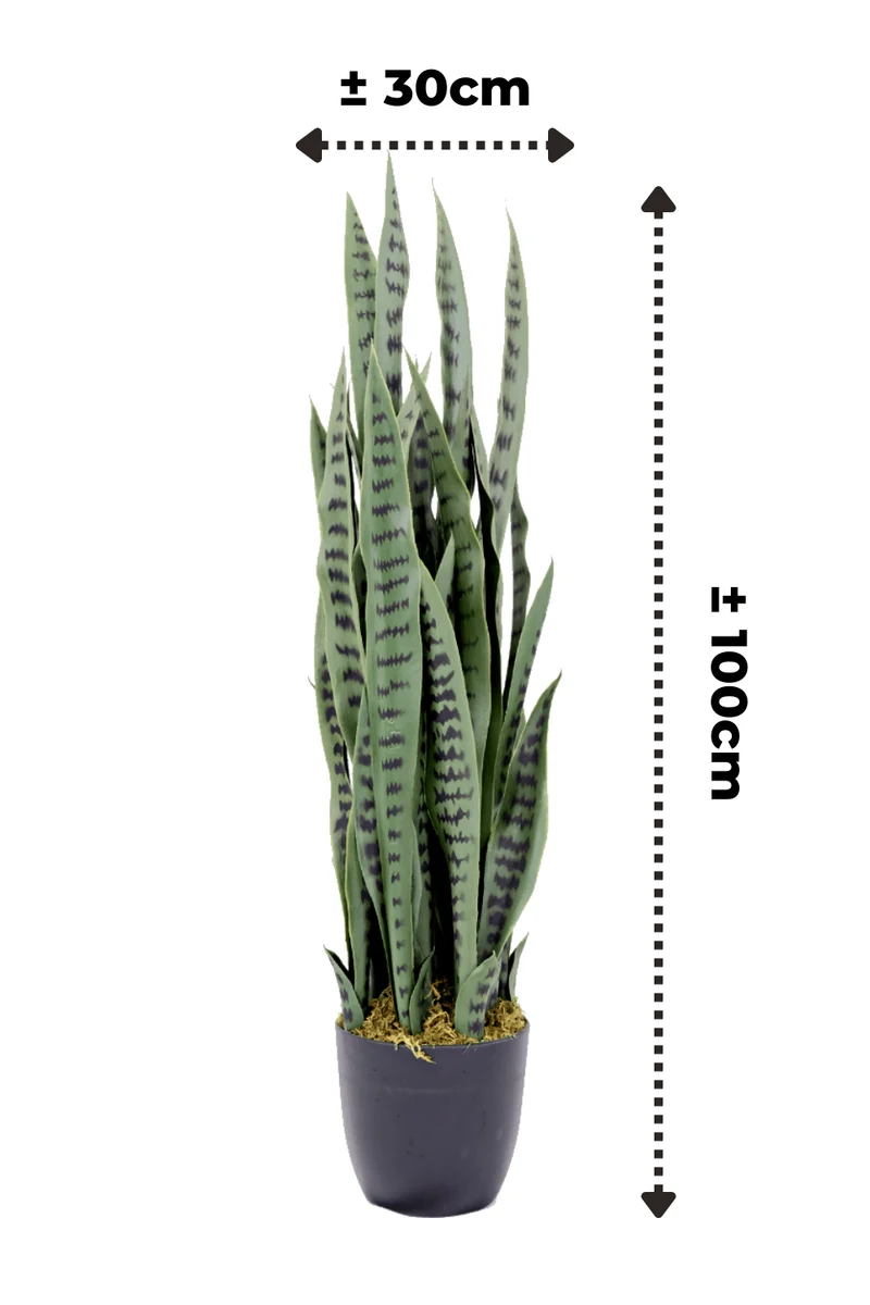 Sansevieria Kunstpflanze 100cm