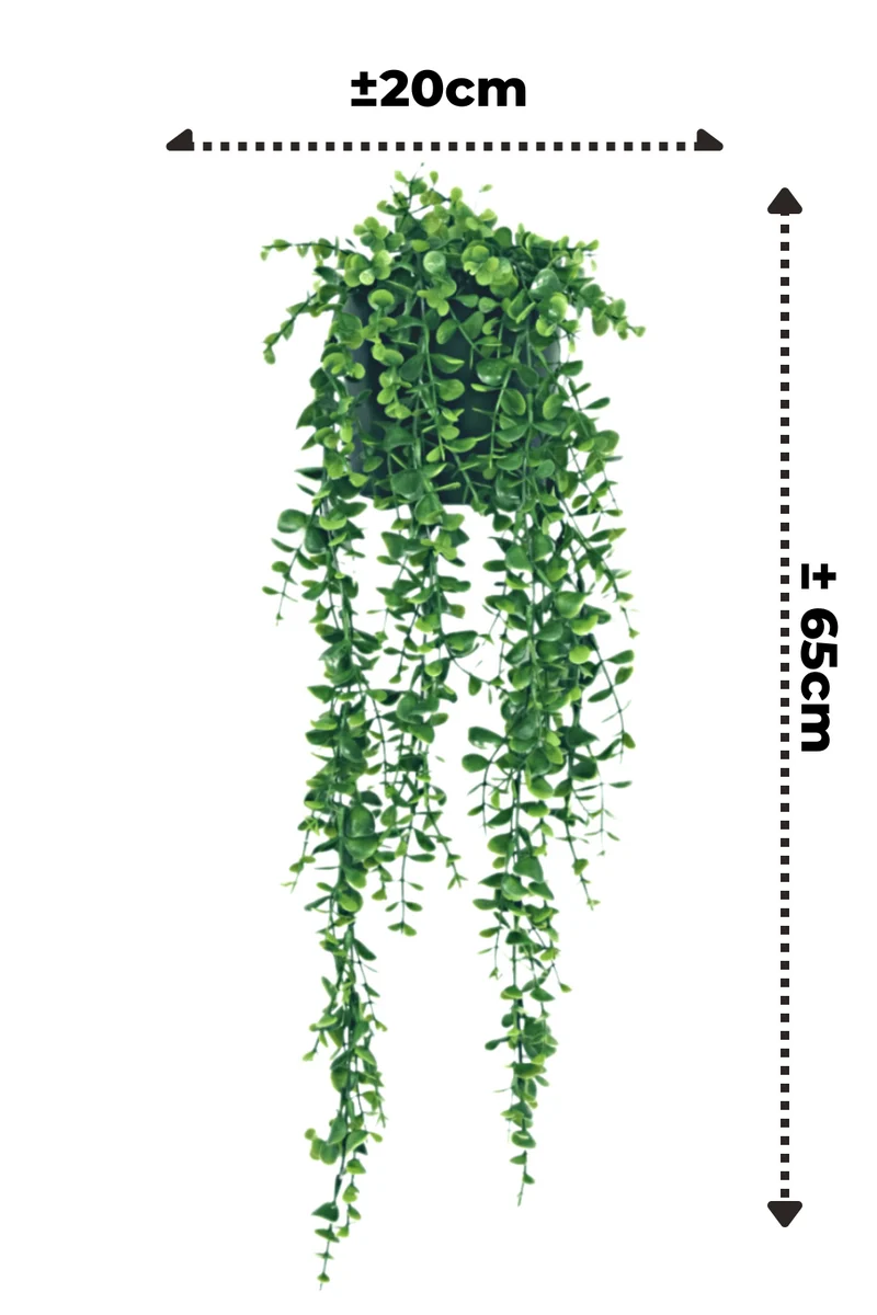 Eukalyptus künstliche Hängepflanze 65cm