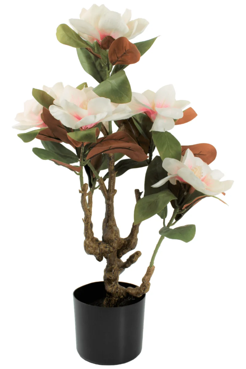 Magnolie Kunstpflanze 70cm