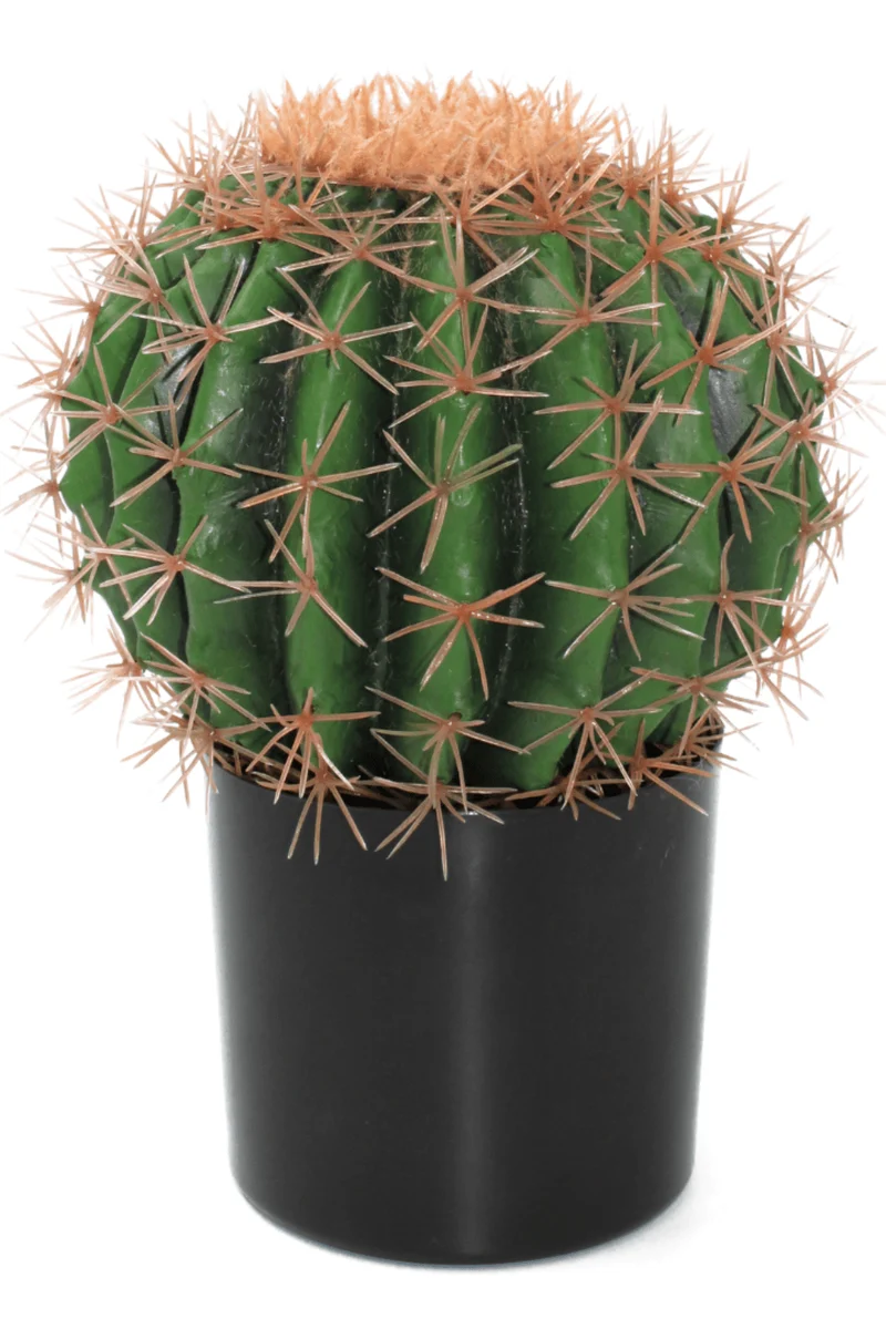 Kaktus Kunstpflanze ∅20cm