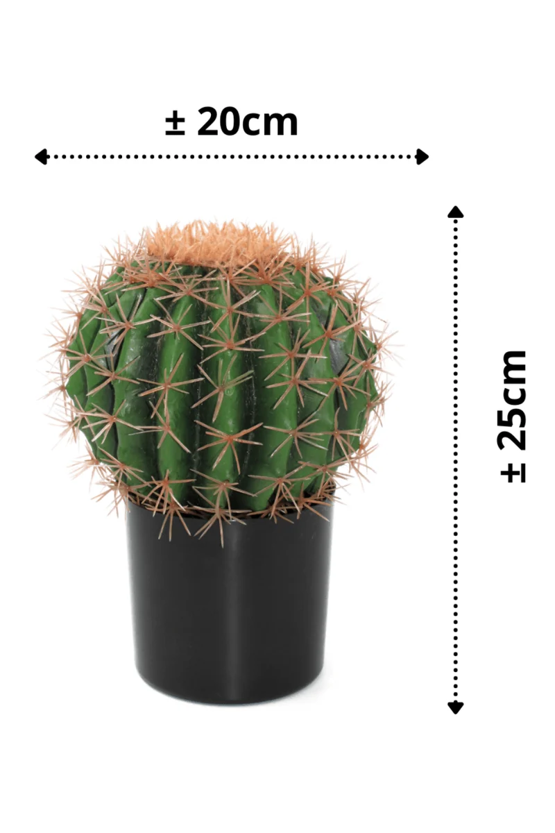 Kaktus Kunstpflanze ∅20cm