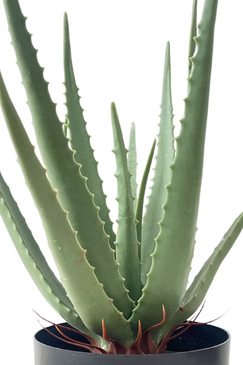 Aloe Vera Kunstpflanze 45cm