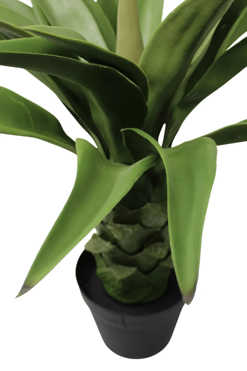 Agave Kunstpflanze 60cm