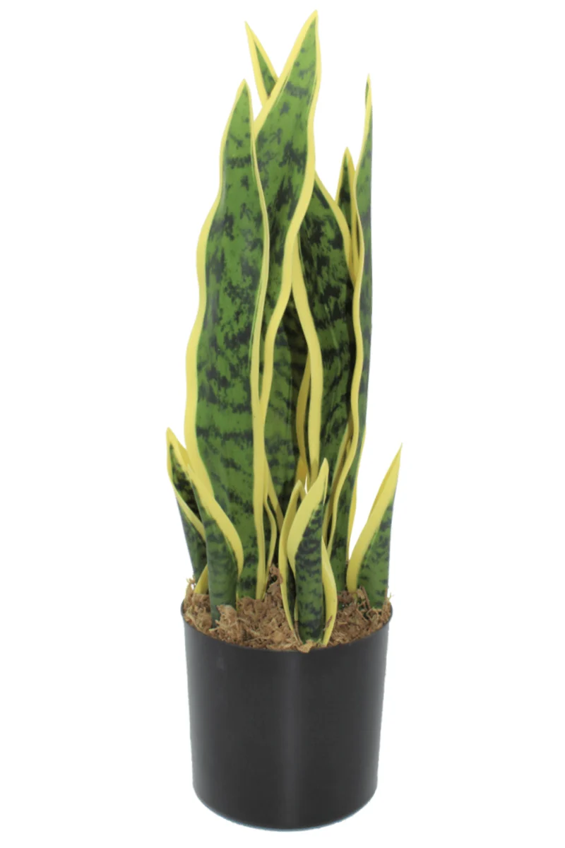 Sansevieria Kunstpflanze 50cm