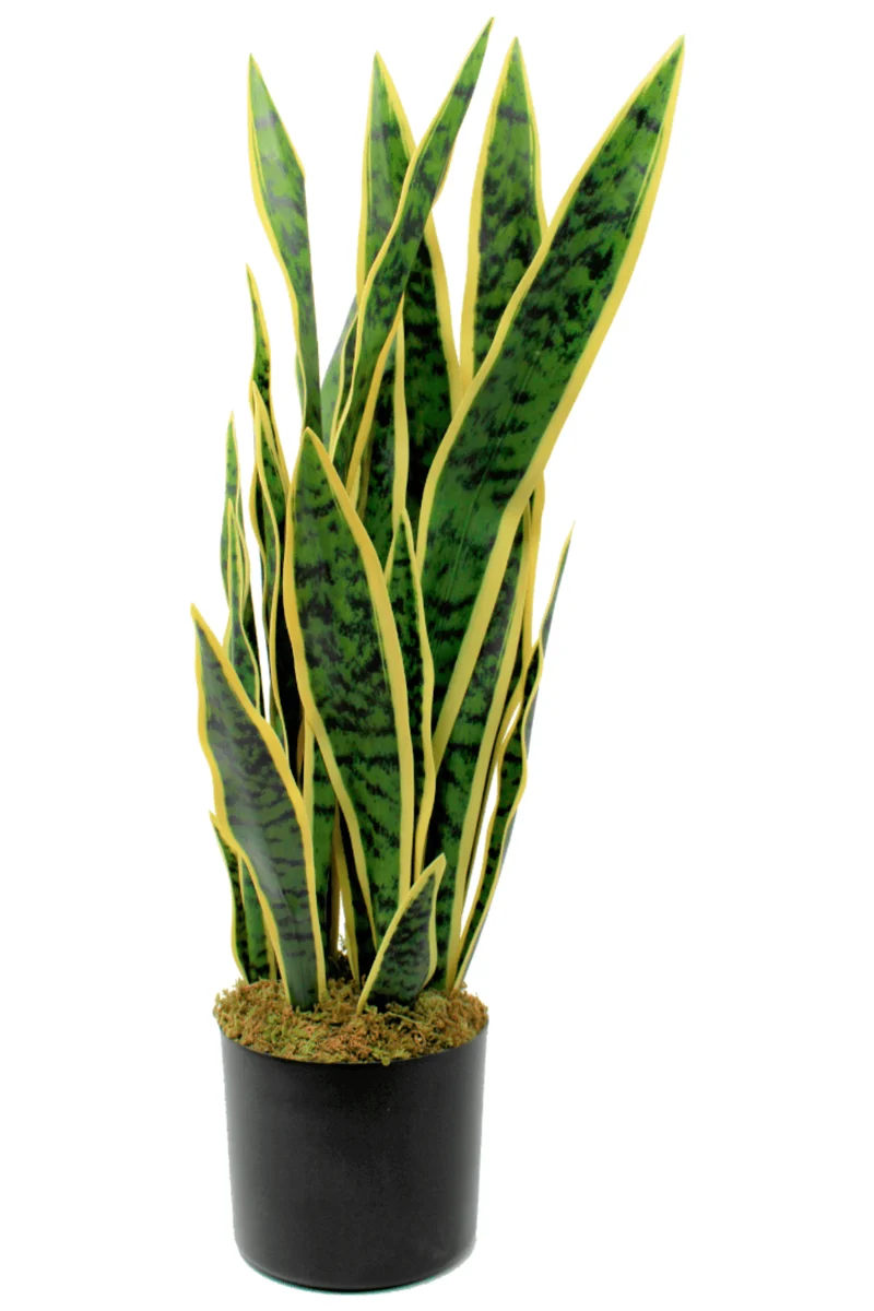 Sansevieria Kunstpflanze 70cm