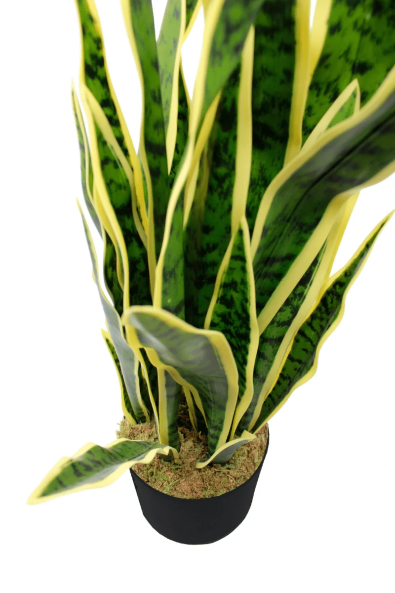 Sansevieria Kunstpflanze 70cm
