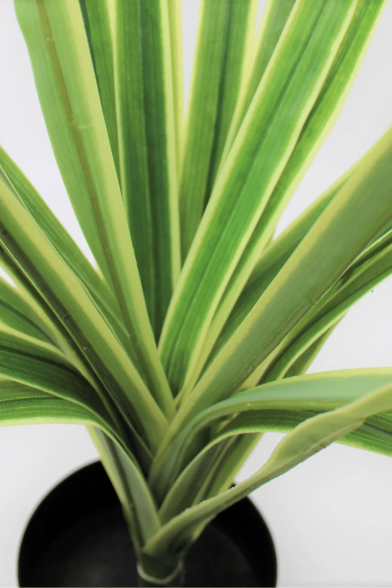 Dracaena Kunstpflanze 60cm Grün