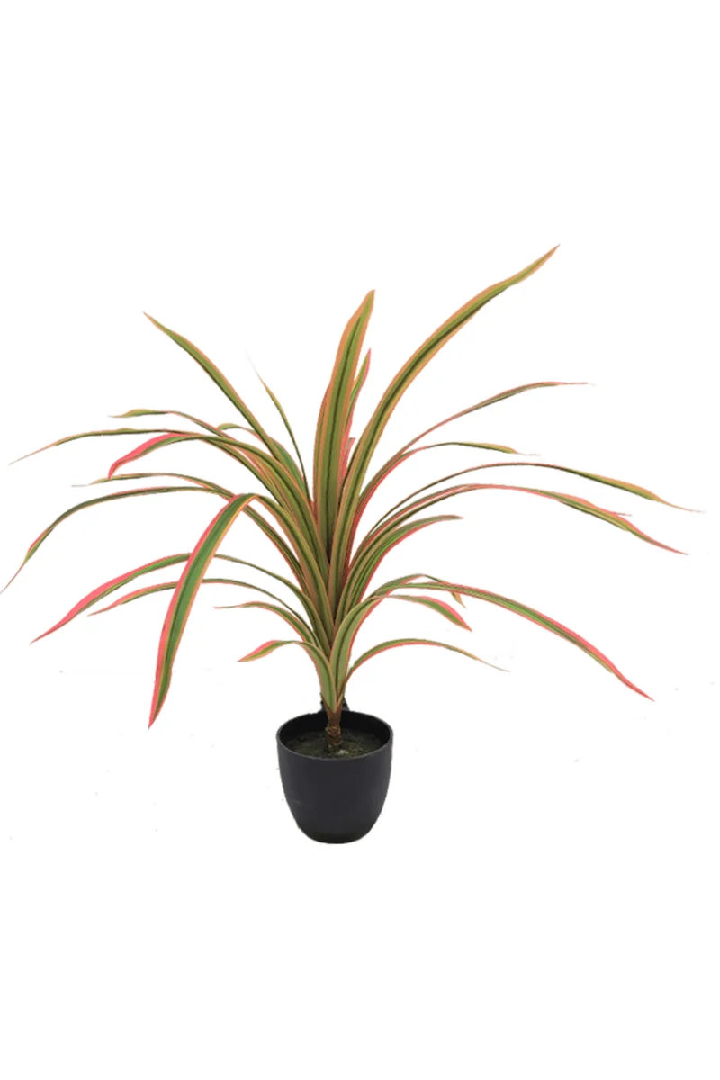 Dracaena Kunstpflanze 60cm Rot