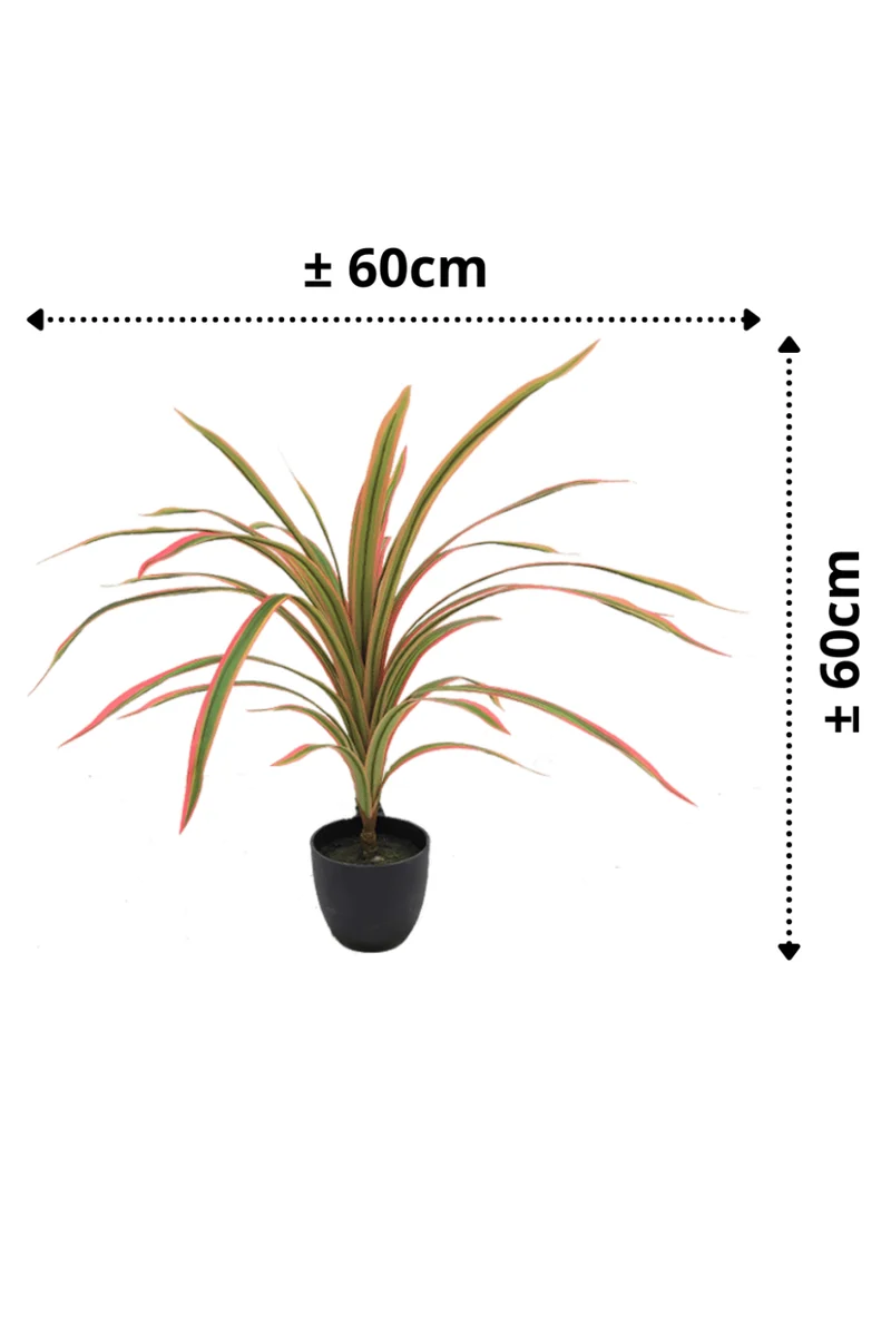 Dracaena Kunstpflanze 60cm Rot