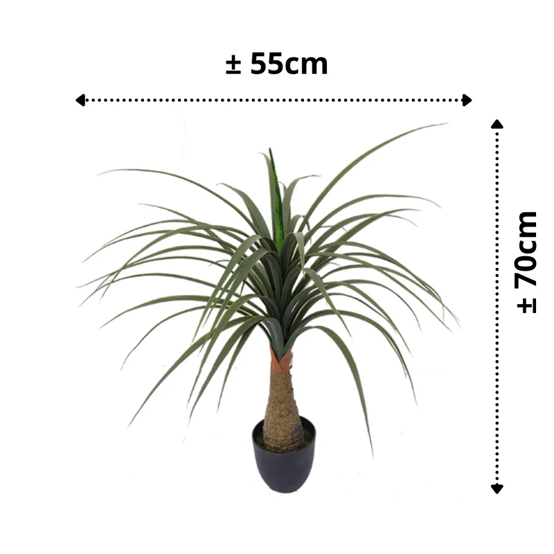 Dracaena Kunstpflanze 70cm