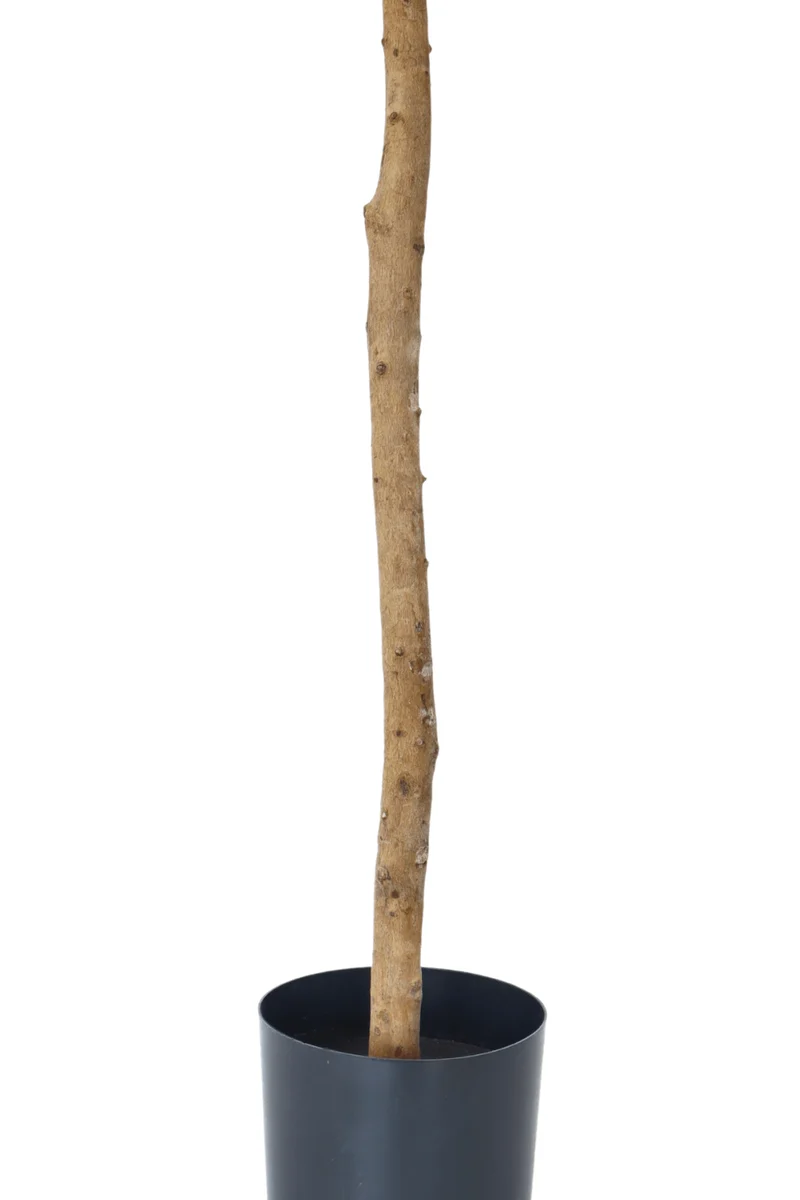 Künstlicher Olivenbaum 130cm
