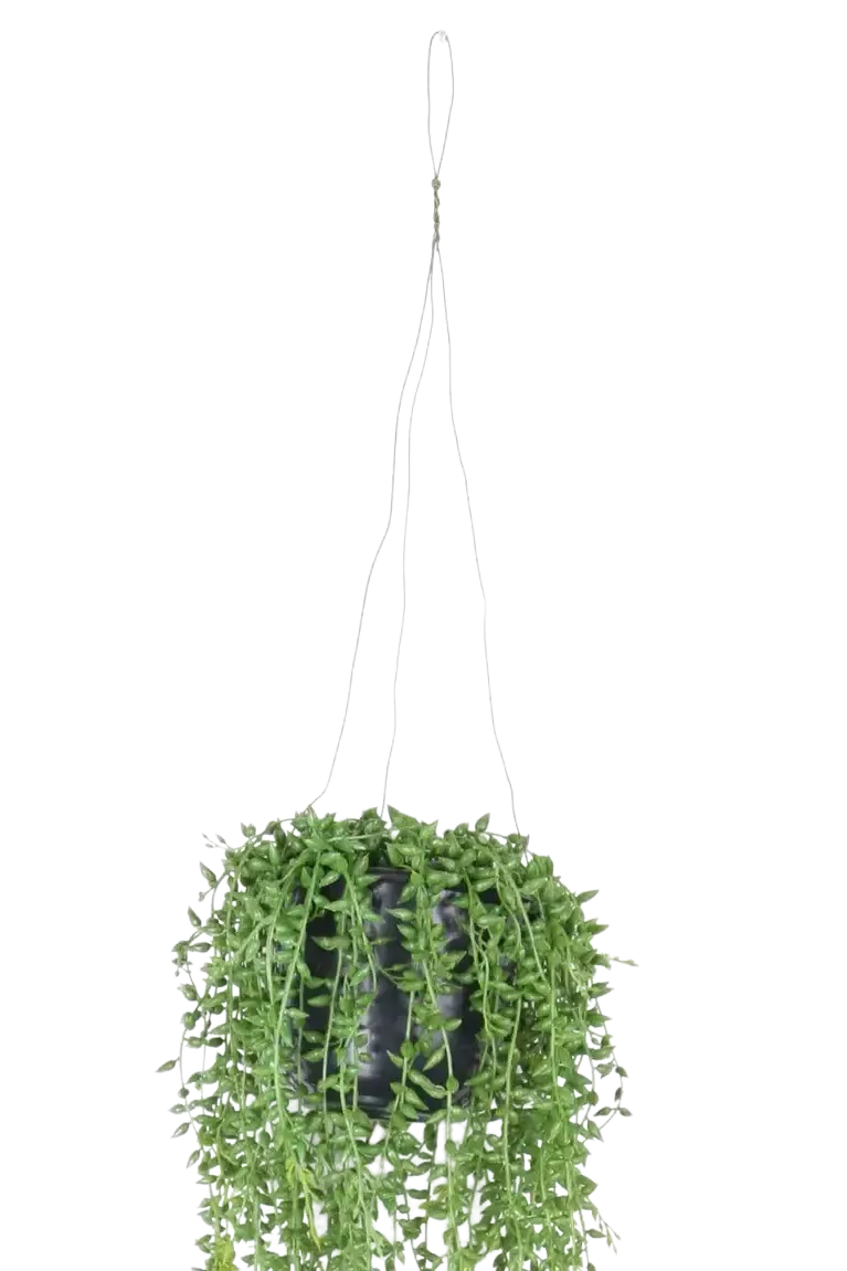 Künstliche Erbsenpflanze - Karina | 70 cm