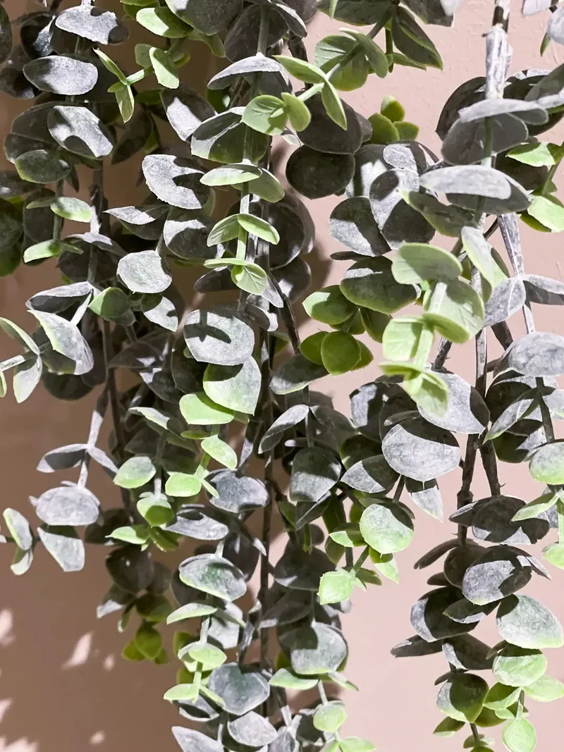 Künstlicher Hänge-Eucalyptus - Richard | 75 cm