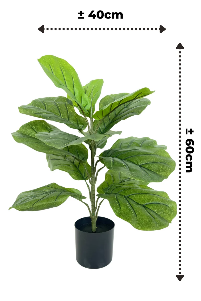 Ficus Kunstpflanze 60cm