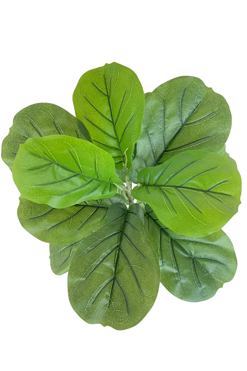 Ficus Kunstpflanze 60cm
