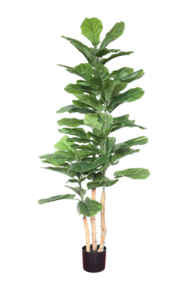 Ficus Kunstpflanze 150cm