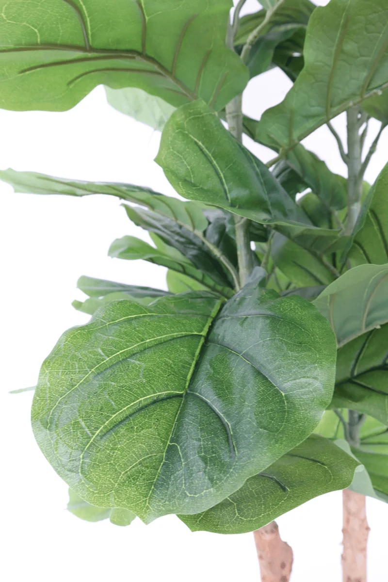 Ficus Kunstpflanze 150cm