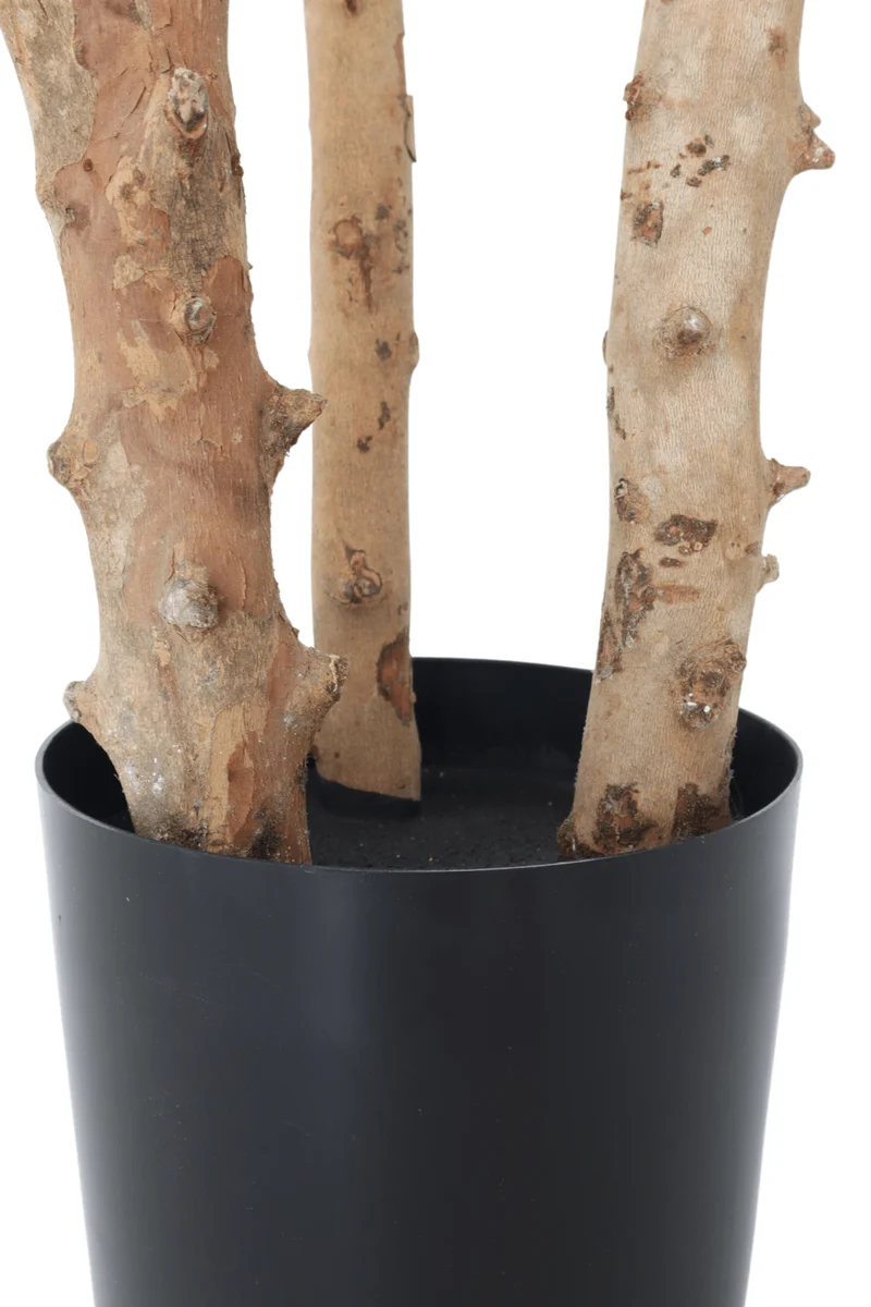 Ficus Kunstpflanze 150cm