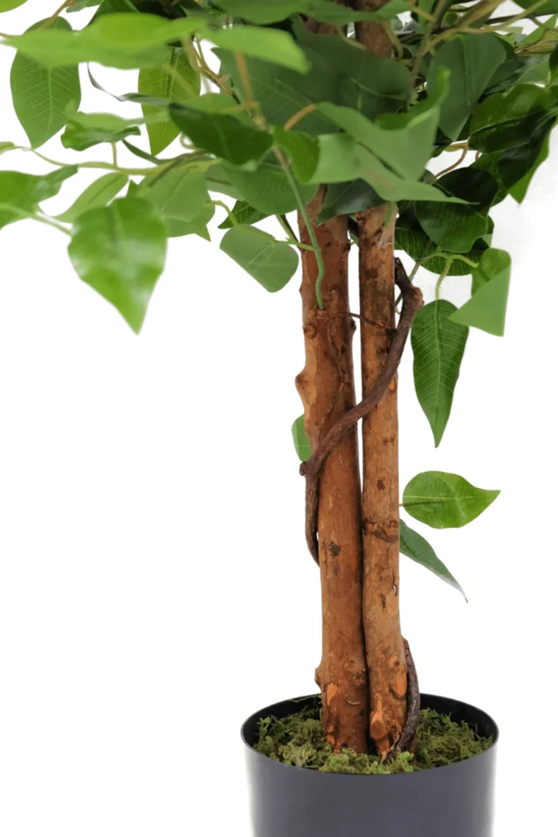 Ficus Kunstpflanze 90cm