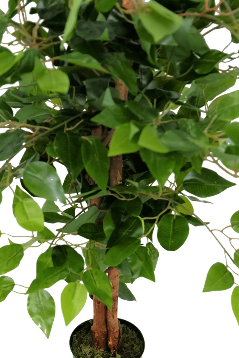 Ficus Kunstpflanze 90cm