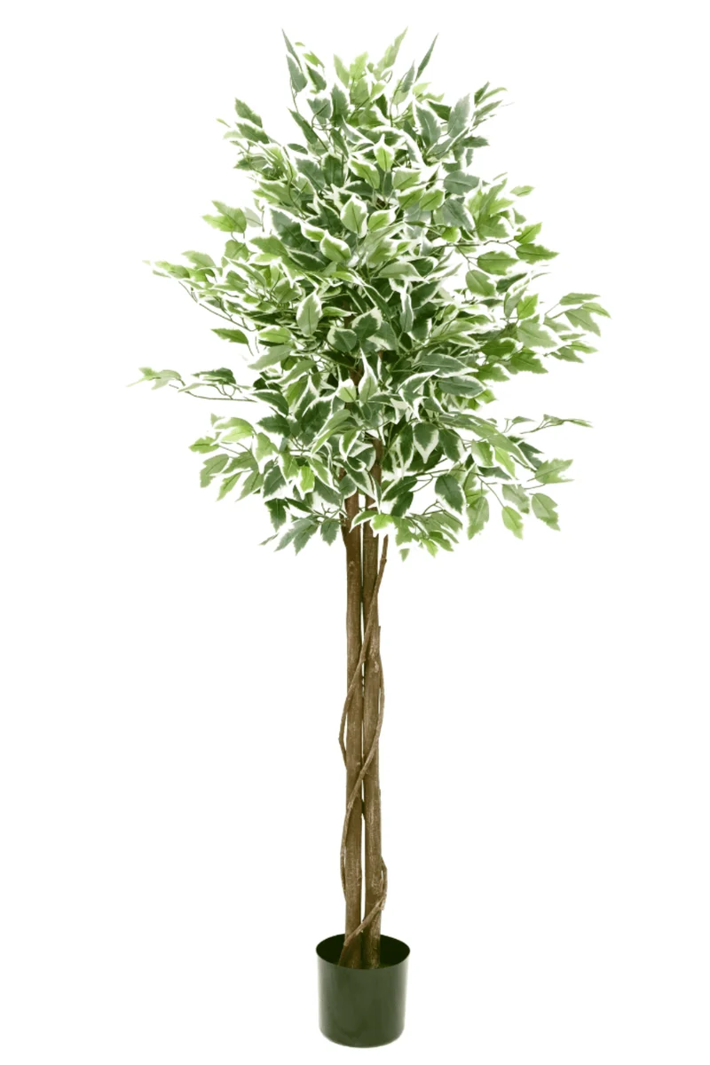 Ficus Kunstbaum 150cm