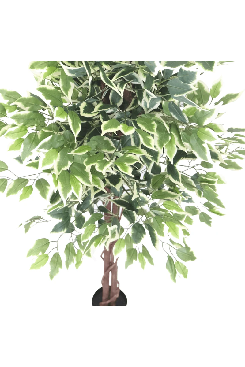 Ficus Kunstbaum 150cm