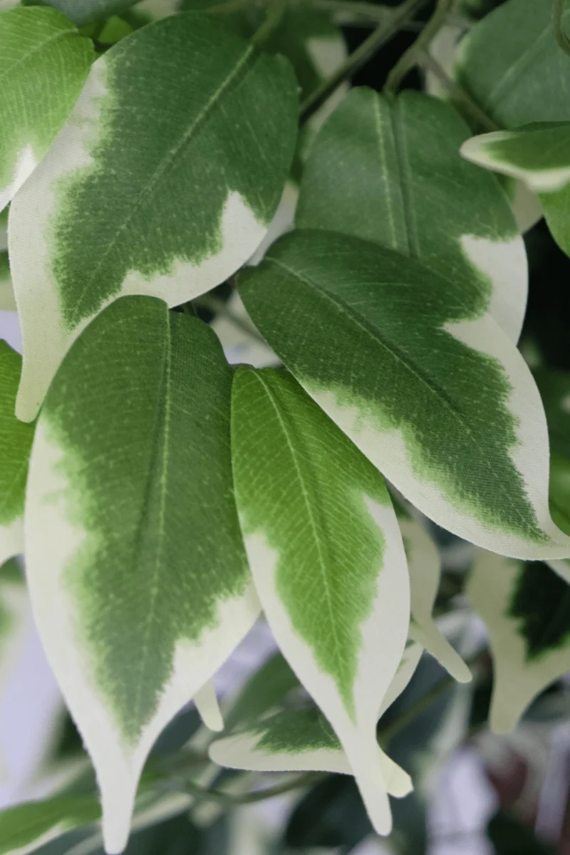 Ficus Kunstbaum 150cm