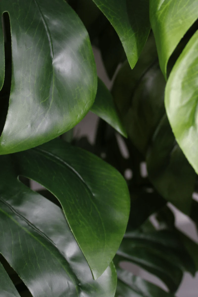 Monstera Kunstpflanze B 80cm