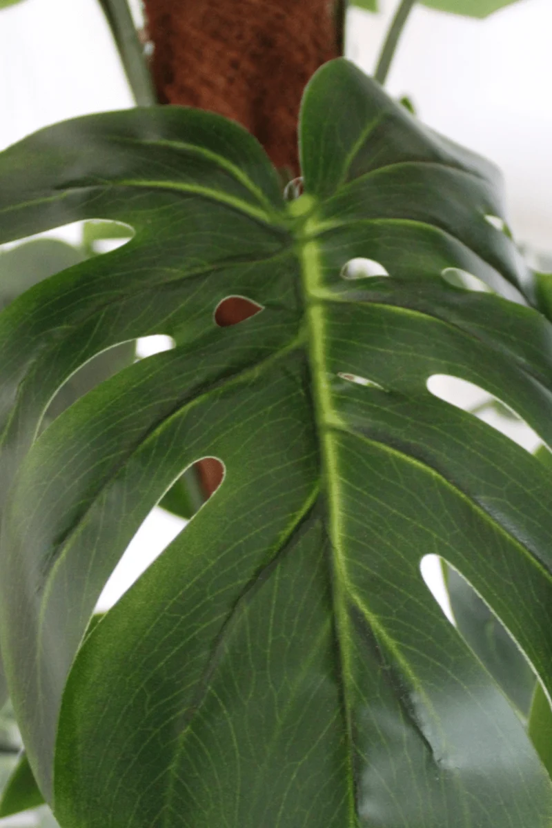 Monstera Kunstpflanze 150cm
