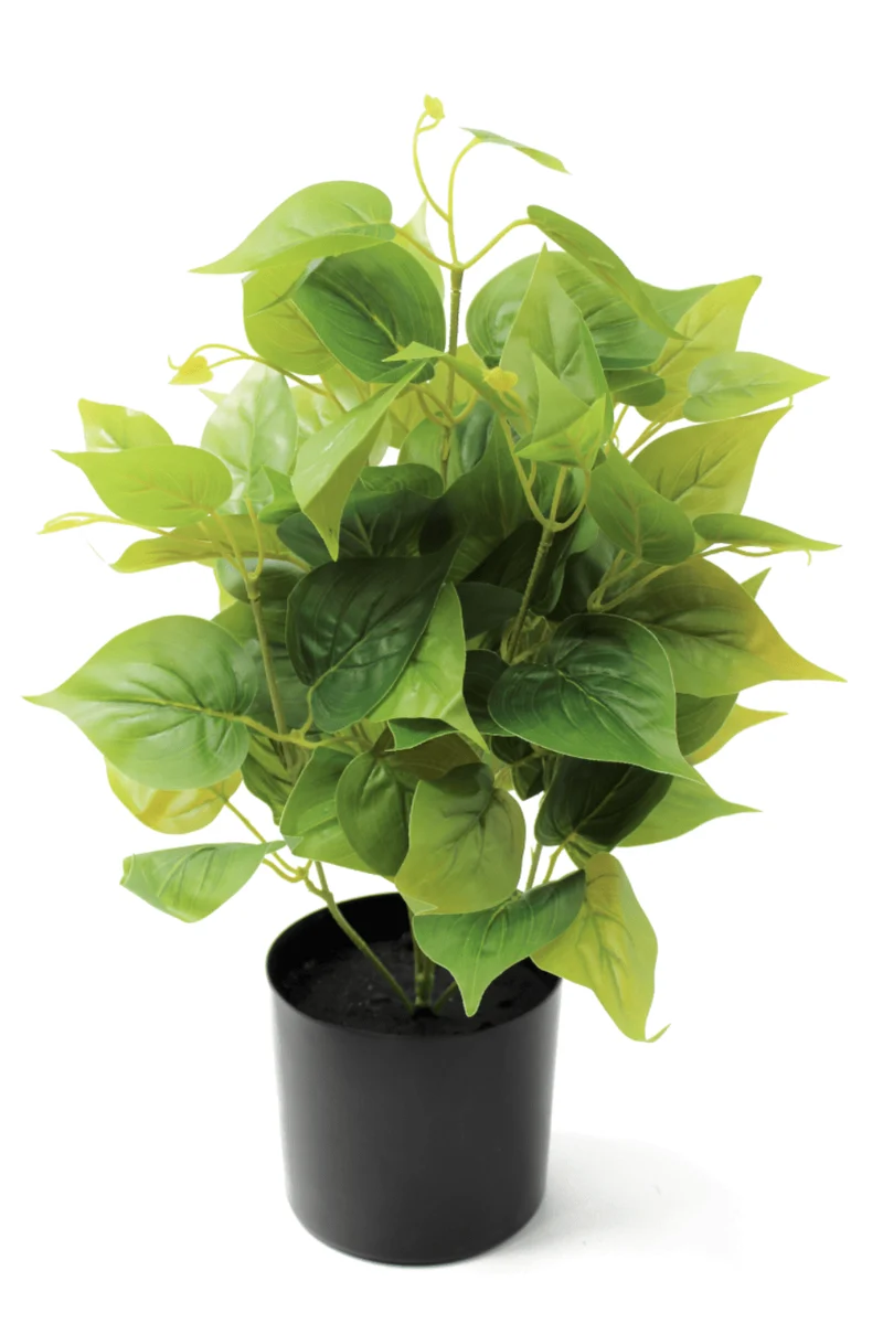 Dieffenbachie Kunstpflanze 45cm