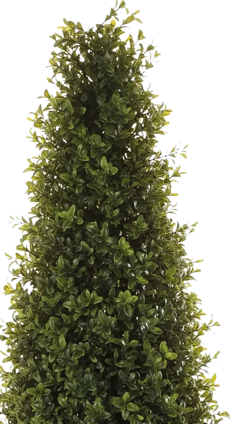 Künstliche Buchsbaumpyramide - Lucy | 165 cm