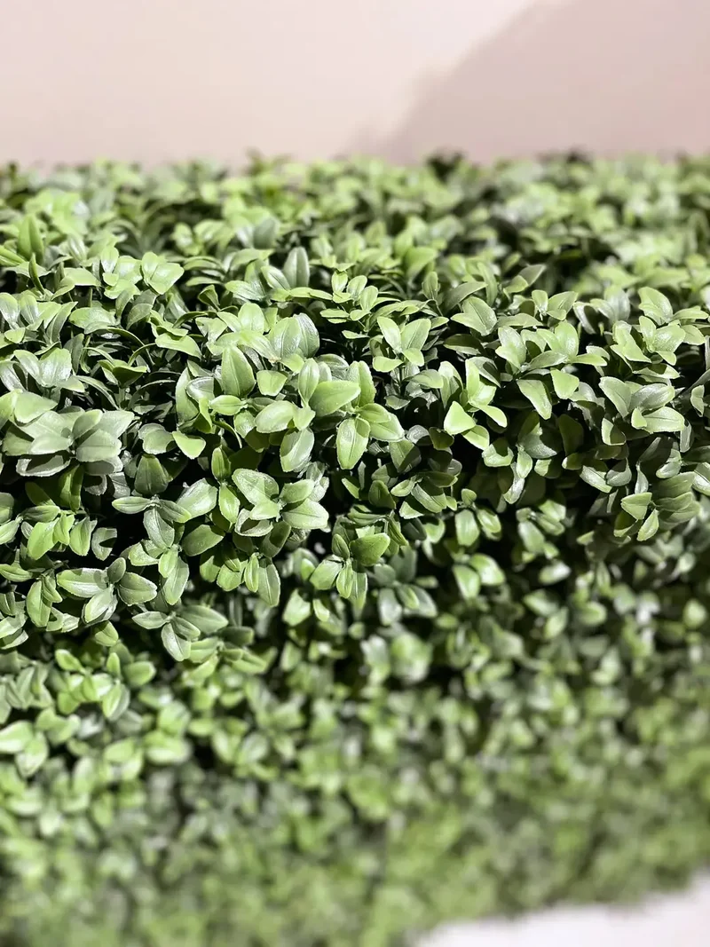 Künstliche Buchsbaumhecke - Jannis | 100x50 cm