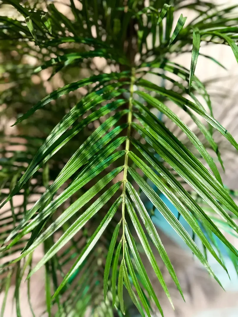 Künstliche Areca Palme - Christine | 210 cm