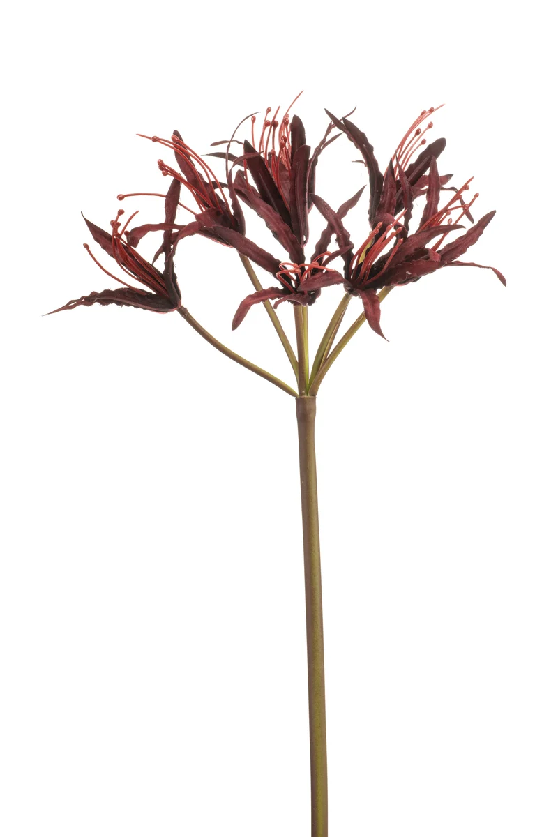 Nerine künstlich 95 cm - 1 Stiel - Bordeaux
