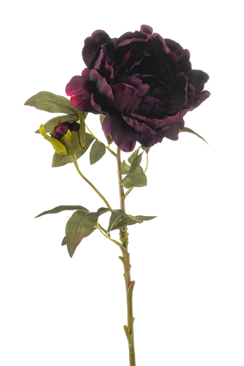 Pfingstrose künstlich 75 cm - 1 Stiel - Lila