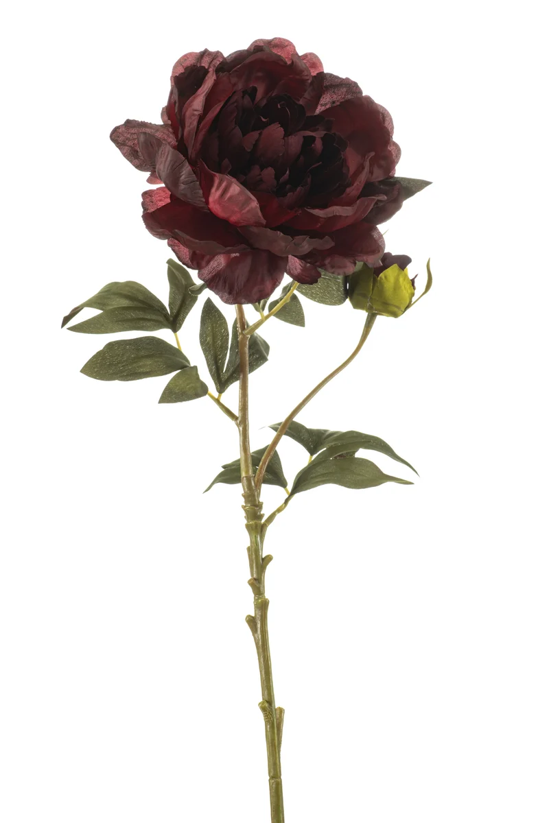 Pfingstrose künstlich 75 cm - 1 Stiel - Bordeaux