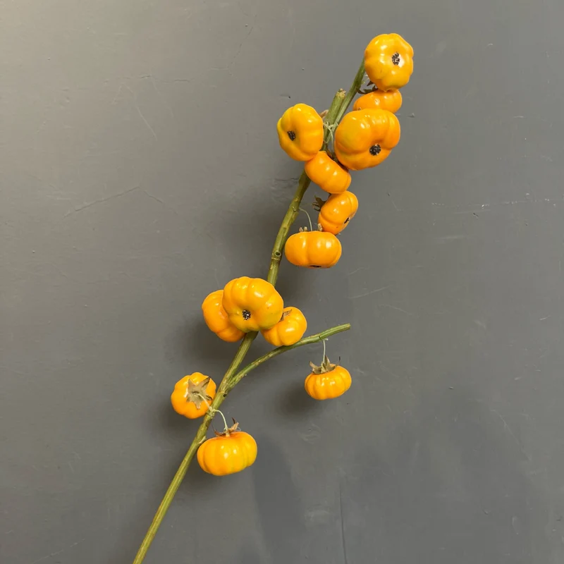 Künstlicher Kürbis-Dekostab, 64 cm, 13 Früchte, Schaumstoff, Herbst- und Erntedeko für Innenraum, Gewerbe, Events