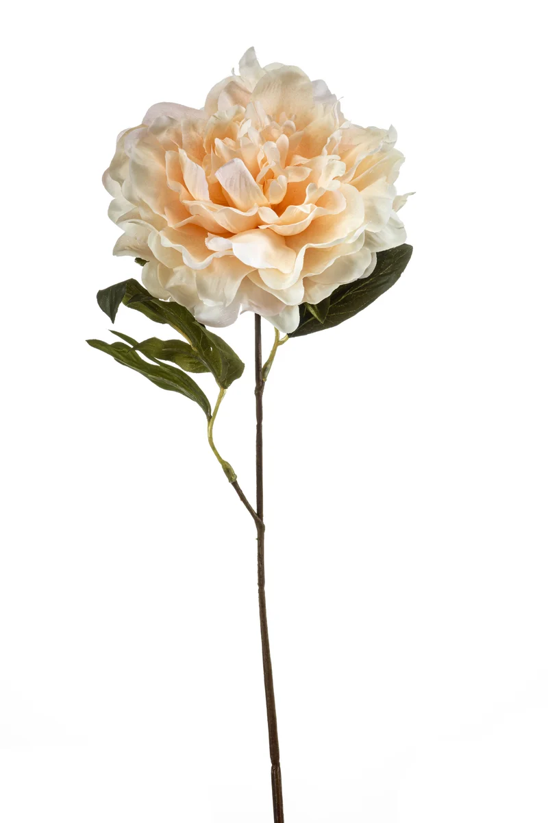 Pfingstrose künstlich 57 cm - 1 Stiel - Beige