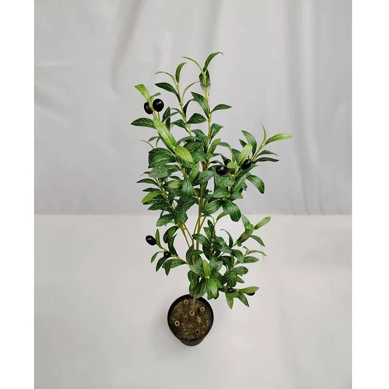 Künstliche Olivenzweige, 49 cm hoch, 72 Blätter pro Packung, aus Stoff, für Innendekoration, Büro, Hotel und Einzelhandel