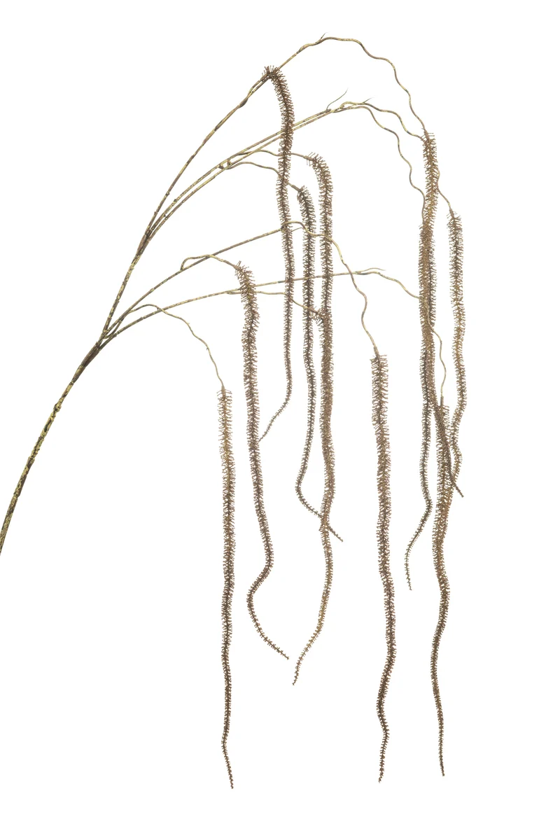 Amarant künstlich 140 cm - 1 Zweig - Braun