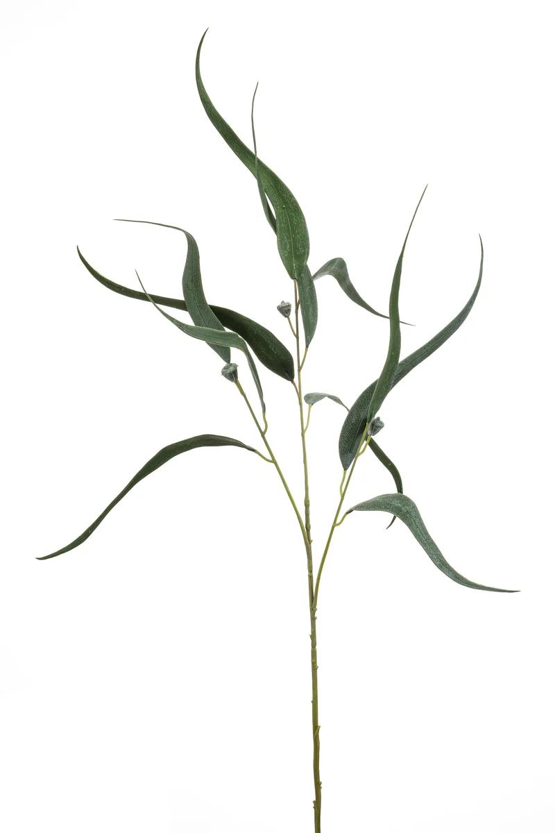 Eukalyptus Willow künstlich 85 cm - 1 Zweig - Grün / Grau