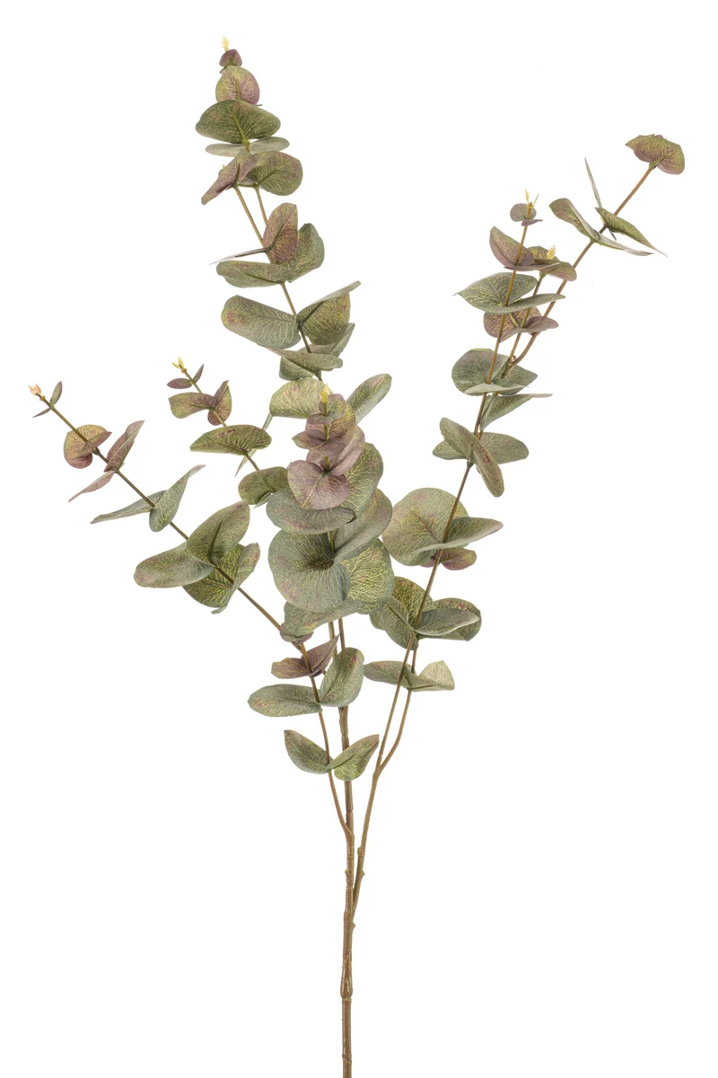 Eukalyptus Cinerea künstlich 97 cm - 1 Zweig - Grün / Grau