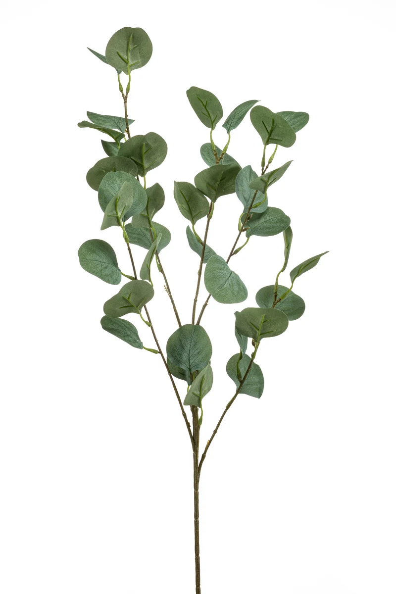 Eukalyptus Populus künstlich 85 cm - 1 Zweig - Grün / Grau